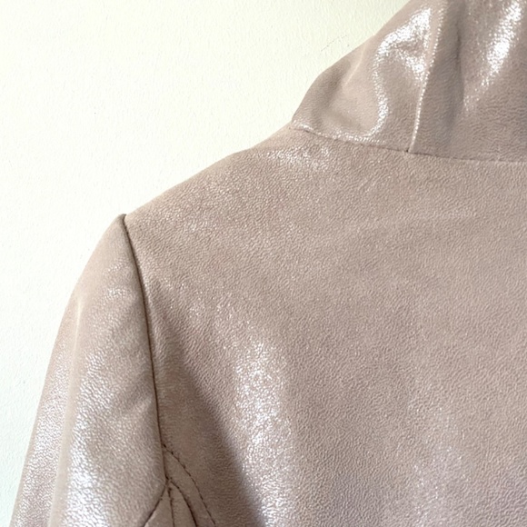 90’s Danier Vintage Shimmery Pink Sueded Leather Jacket, Metallic Ruffled Collar - Picture 8 of 10